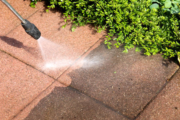 Best Power Washing Near Me  in Lockport Heights, LA